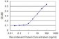 NQO2 Antibody (monoclonal) (M01)