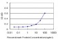 NR0B1 Antibody (monoclonal) (M03)