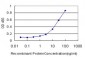 NR1D1 Antibody (monoclonal) (M02)