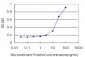 NR1D1 Antibody (monoclonal) (M05)