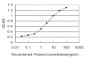 NR1H4 Antibody (monoclonal) (M02)