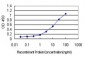 NR2E3 Antibody (monoclonal) (M01)