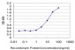 NR2F2 Antibody (monoclonal) (M02)