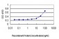 NR4A2 Antibody (monoclonal) (M07)