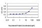 NR4A2 Antibody (monoclonal) (M07)