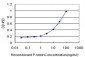 NR4A2 Antibody (monoclonal) (M10)