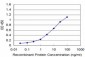 NR4A3 Antibody (monoclonal) (M02)