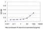 NRBP1 Antibody (monoclonal) (M02)