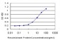 NUDT5 Antibody (monoclonal) (M04)