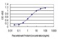 NUP62 Antibody (monoclonal) (M01)