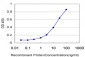 NUP62 Antibody (monoclonal) (M02)