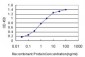 NVL Antibody (monoclonal) (M02)