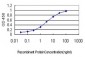 OCLN Antibody (monoclonal) (M01)