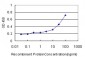 OLR1 Antibody (monoclonal) (M08)