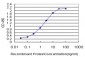 ORC3L Antibody (monoclonal) (M01)