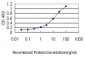 ORM1 Antibody (monoclonal) (M01)