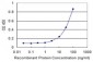 OTUB1 Antibody (monoclonal) (M09)