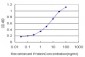 OXSR1 Antibody (monoclonal) (M16)