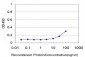 OXSR1 Antibody (monoclonal) (M18)