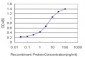 OXSR1 Antibody (monoclonal) (M19)