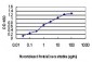 PAK1 Antibody (monoclonal) (M02)