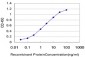 PAPSS2 Antibody (monoclonal) (M07)