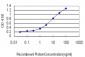 PARP1 Antibody (monoclonal) (M01)