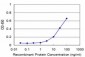 PAX8 Antibody (monoclonal) (M03)