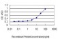 PBK Antibody (monoclonal) (M11)