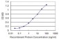 PCDH10 Antibody (monoclonal) (M07)
