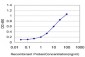 PCDH11Y Antibody (monoclonal) (M02)