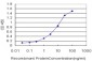 PCDH7 Antibody (monoclonal) (M01)