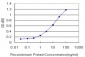 PCDHB12 Antibody (monoclonal) (M05)