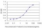 PCDHB3 Antibody (monoclonal) (M01)