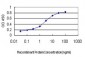 PCDHGA1 Antibody (monoclonal) (M01)