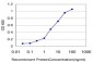 PCDHGA8 Antibody (monoclonal) (M01)