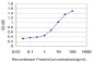 PCDHGC3 Antibody (monoclonal) (M02)