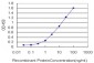 PCMT1 Antibody (monoclonal) (M02)