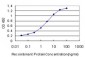 PCNA Antibody (monoclonal) (M04)