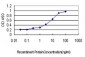 PDCD7 Antibody (monoclonal) (M01)