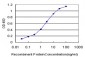 PDE10A Antibody (monoclonal) (M02)