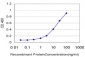 PDIA4 Antibody (monoclonal) (M01)