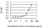 PDLIM1 Antibody (monoclonal) (M02)