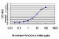 PEPD Antibody (monoclonal) (M01)