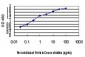 PER2 Antibody (monoclonal) (M01)