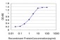 PGR Antibody (monoclonal) (M05)