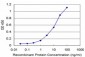 PHF1 Antibody (monoclonal) (M04)