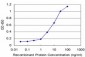 PHF1 Antibody (monoclonal) (M05)