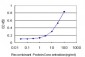 PHOSPHO1 Antibody (monoclonal) (M04)