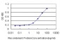 PIK3R4 Antibody (monoclonal) (M02)